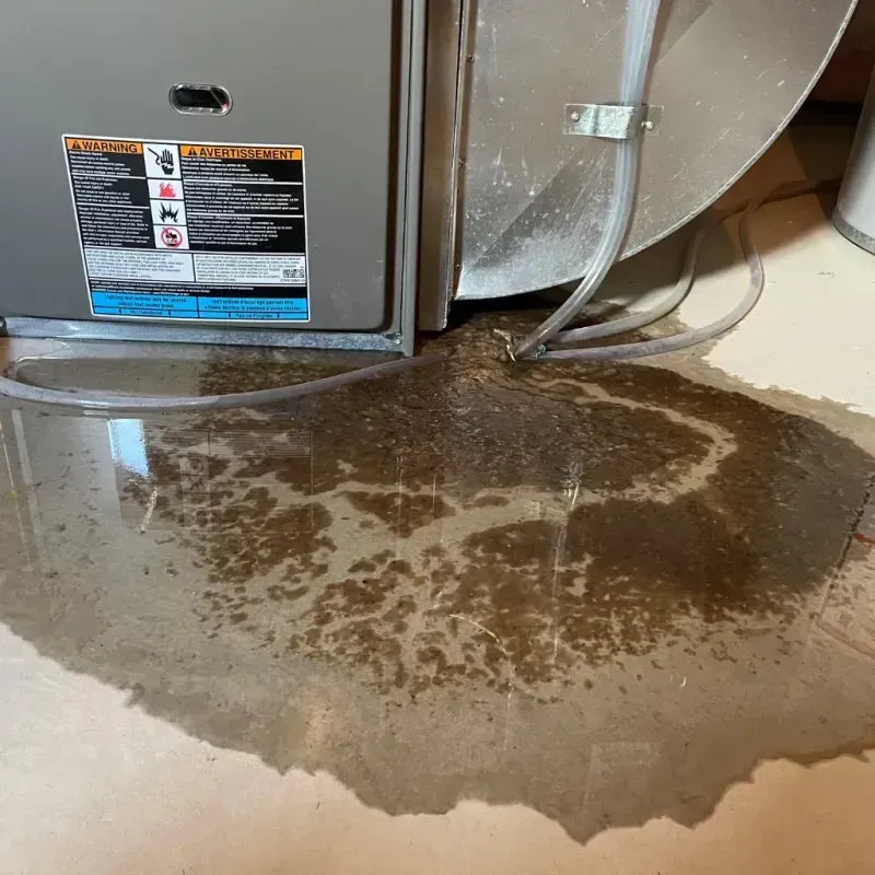 Appliance Leak Cleanup in Corcoran, CA